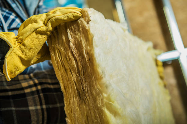 Best Insulation Repair Services  in Napoleon, OH